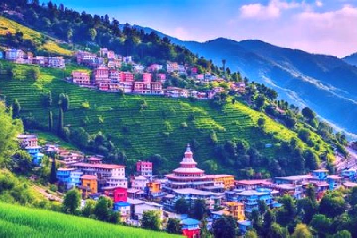 Escorts Solan, India — Local Companions