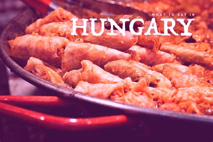 Escorts Somogyvar, Hungary — Local Companions
