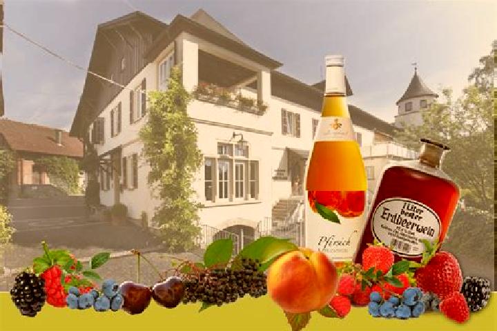 Escorts Sondheim vor der Rhoen, Germany — Local Companions