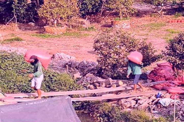 Escorts Song Loc, Vietnam — Local Companions