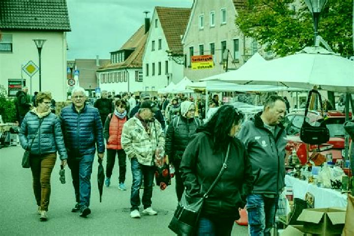 Escorts Sontheim an der Brenz, Germany — Local Companions