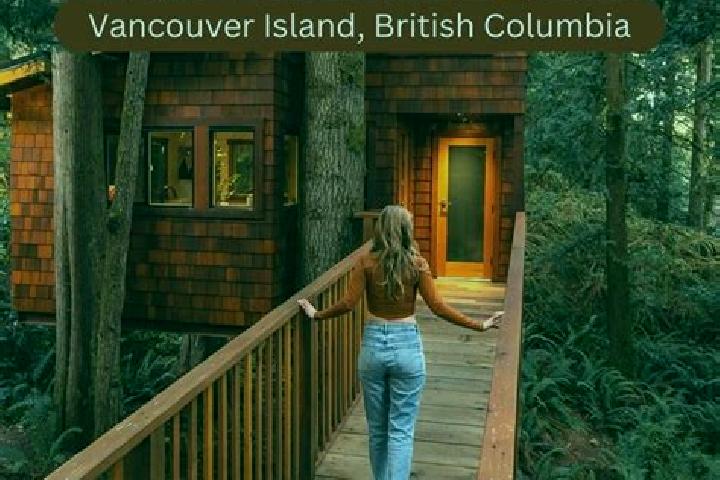 Escorts Sooke, Canada — Local Companions