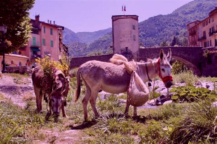 Escorts Sospel, France — Local Companions
