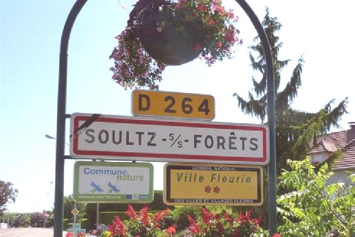 Escorts Soultz-sous-Forets, France — Local Companions