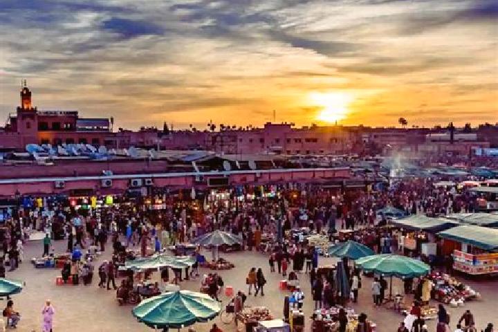 Escorts Souq Al Had Bradya, Morocco — Local Companions
