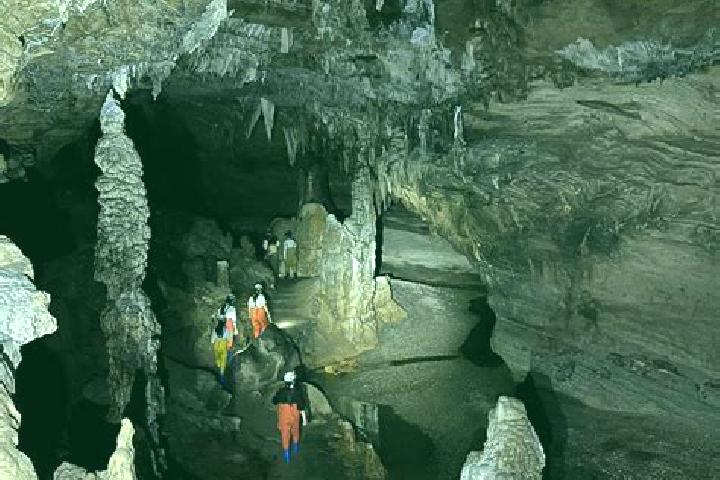 Escorts South Cave, United Kingdom — Local Companions