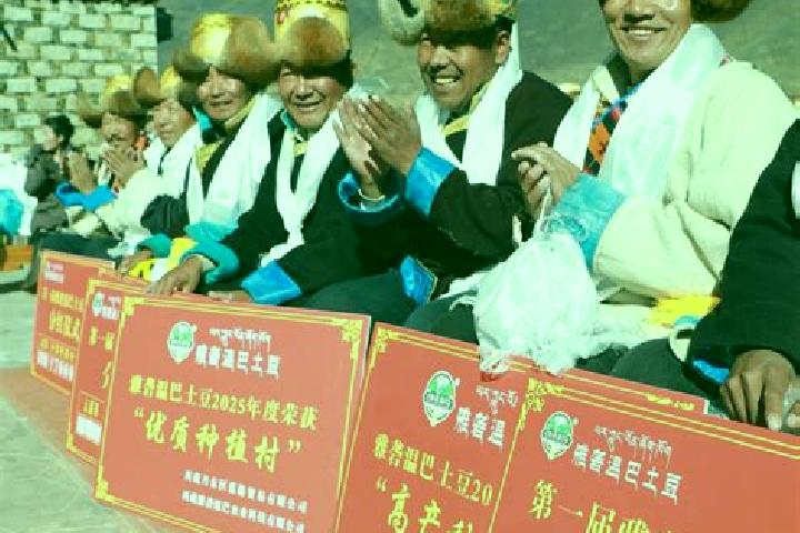 Escorts Sozhug, China — Local Companions