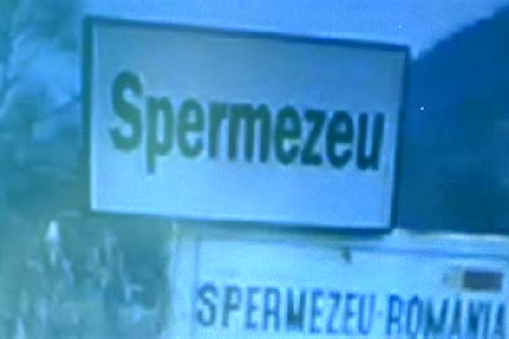 Escorts Spermezeu, Romania — Local Companions