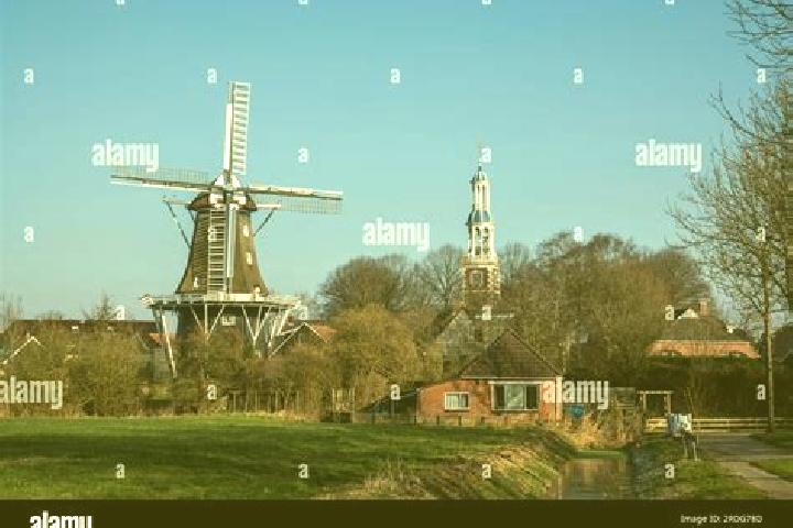 Escorts Spijk, Netherlands — Local Companions