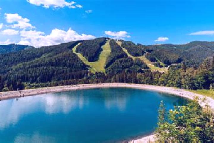 Escorts Spital am Semmering, Austria — Local Companions