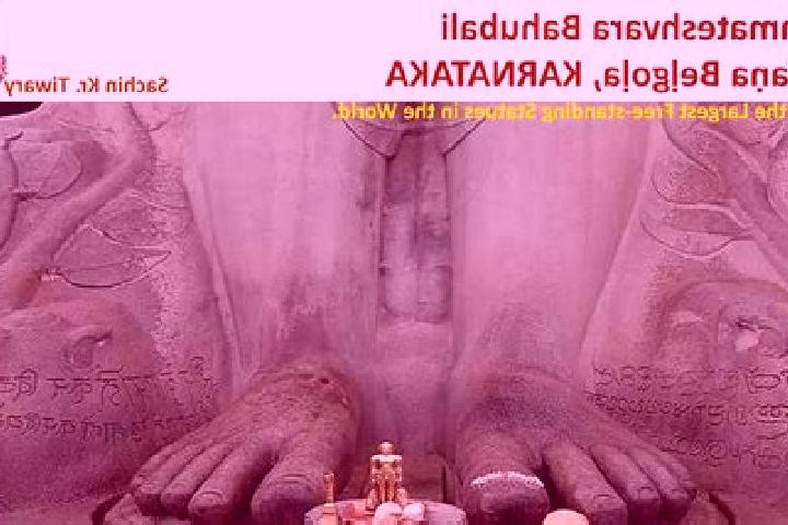 Escorts Sravana Belgola, India — Local Companions