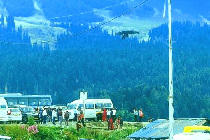 Escorts Srinagar, India — Local Companions