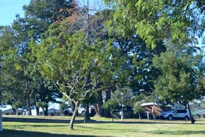 Escorts St George, Australia — Local Companions