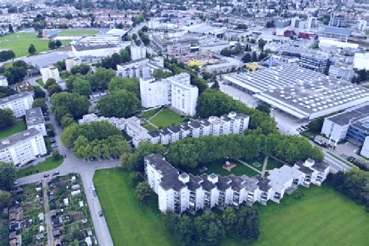 Escorts Stadt Winterthur (Kreis 1) / Toessfeld, Switzerland — Local Companions