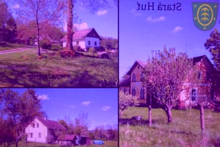 Escorts Stara Hut, Czech Republic — Local Companions