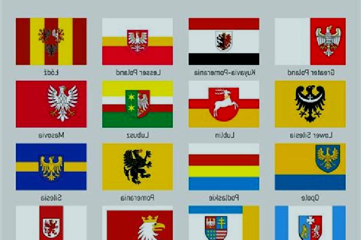 Escorts Staszow, Poland — Local Companions