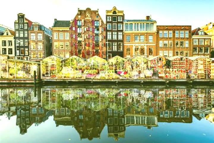 Escorts Statenkwartier, Netherlands — Local Companions