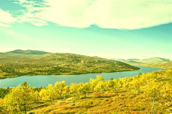 Escorts Stensjoen, Sweden — Local Companions