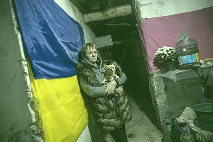 Escorts Stepnohirsk, Ukraine — Local Companions