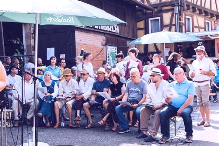 Escorts Sternenfels, Germany — Local Companions