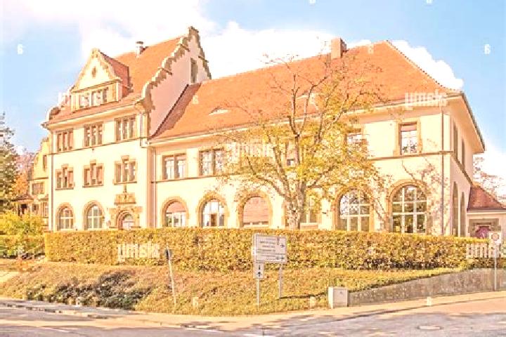 Escorts Stockach, Germany — Local Companions