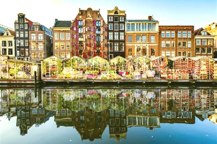 Escorts Stolwijk, Netherlands — Local Companions