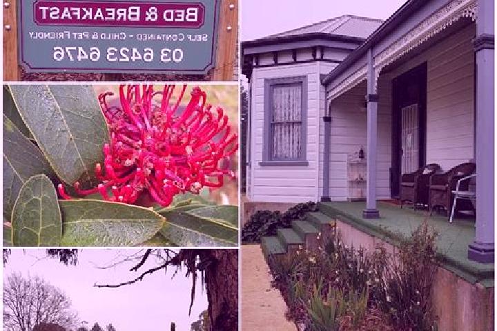 Escorts Stony Rise, Australia — Local Companions