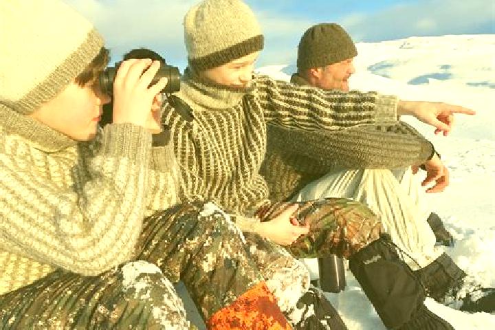 Escorts Storforshei, Norway — Local Companions