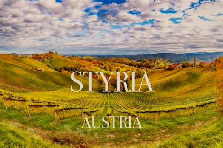 Escorts Strass in Steiermark, Austria — Local Companions