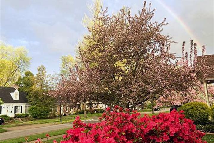 Escorts Strathmoor Village, United States — Local Companions