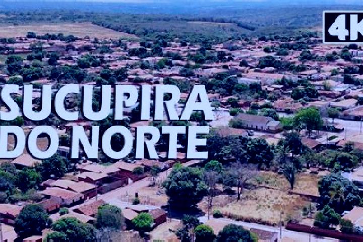 Escorts Sucupira do Norte, Brazil — Local Companions