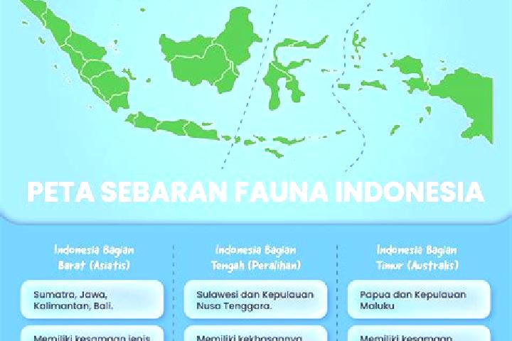 Escorts Sukacai Tengah, Indonesia — Local Companions