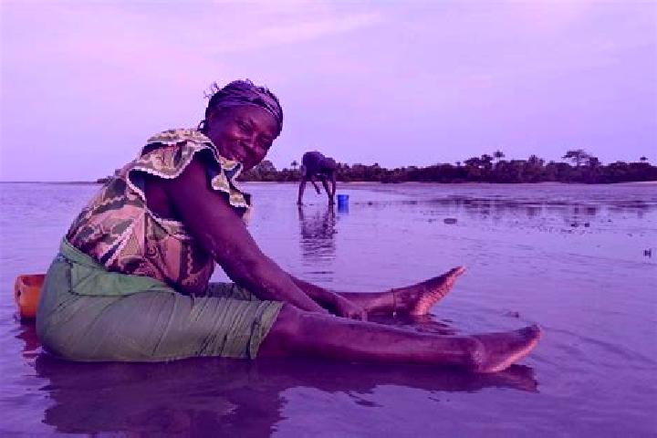 Escorts Sulolor, Gambia — Local Companions