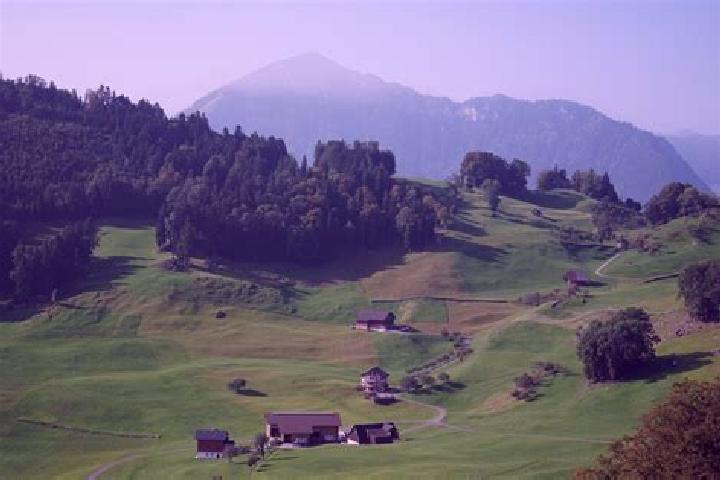 Escorts Sulz, Switzerland — Local Companions