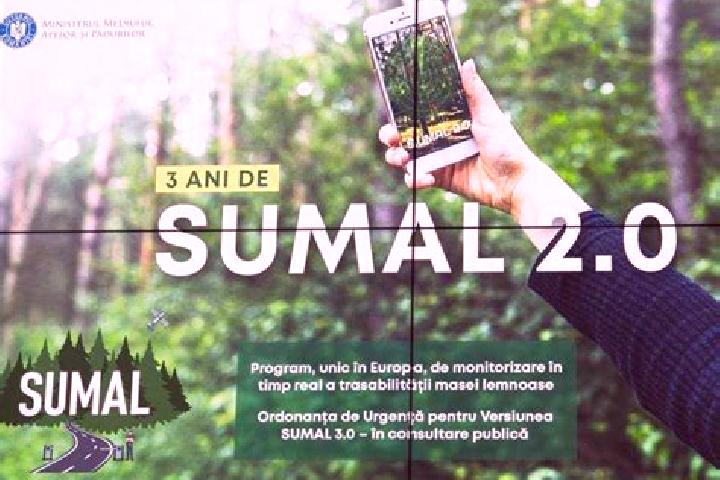 Escorts Sumal, Romania — Local Companions