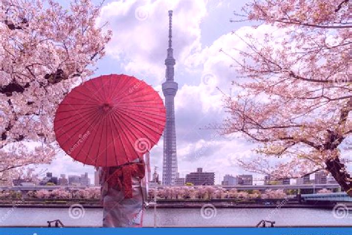 Escorts Sumida, Japan — Local Companions