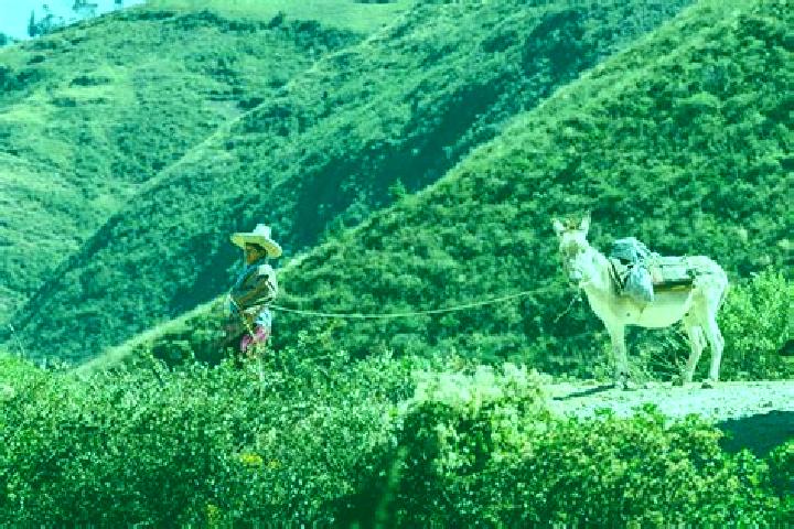 Escorts Sunchubamba, Peru — Local Companions