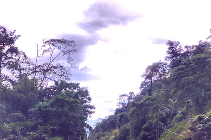 Escorts Sungai Koyan, Malaysia — Local Companions
