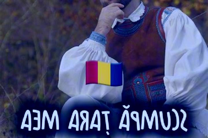Escorts Surcea, Romania — Local Companions