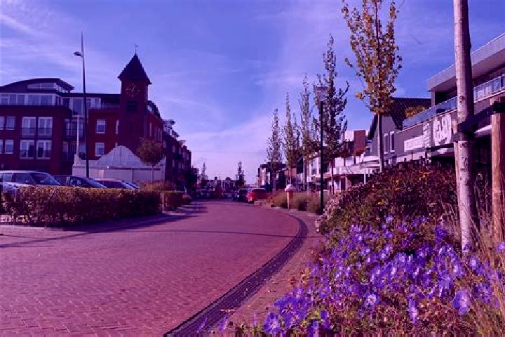 Escorts Surhuisterveen, Netherlands — Local Companions