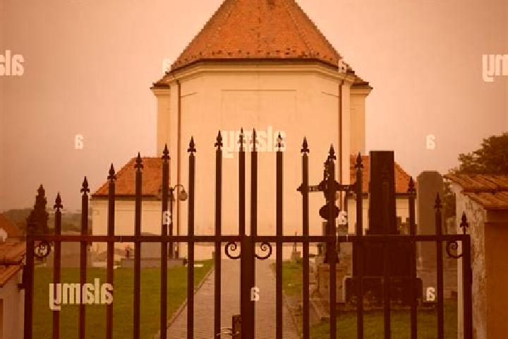 Escorts Svabenice, Czech Republic — Local Companions