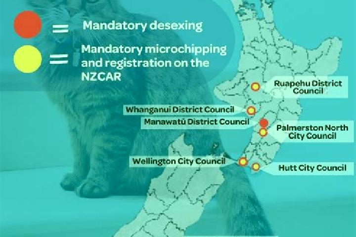 Escorts Swannanoa, New Zealand — Local Companions