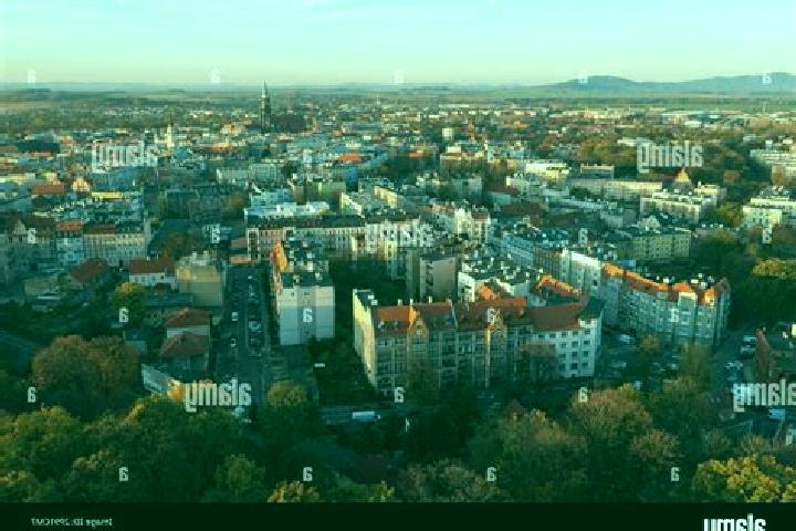 Escorts Swidnica, Poland — Local Companions