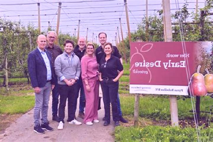 Escorts t Goy, Netherlands — Local Companions