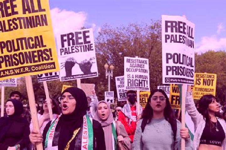 Escorts Taffuh, Palestine — Local Companions