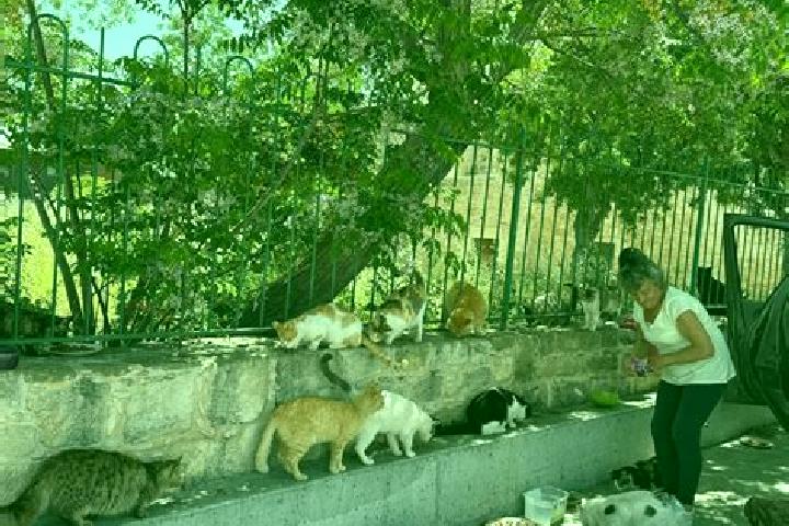 Escorts Tala, Mexico — Local Companions