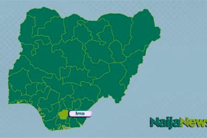 Escorts Talata Mafara, Nigeria — Local Companions