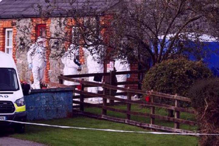 Escorts Tallanstown, Ireland — Local Companions