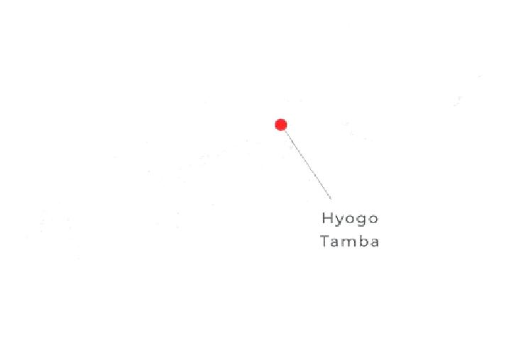 Escorts Tamba, Japan — Local Companions
