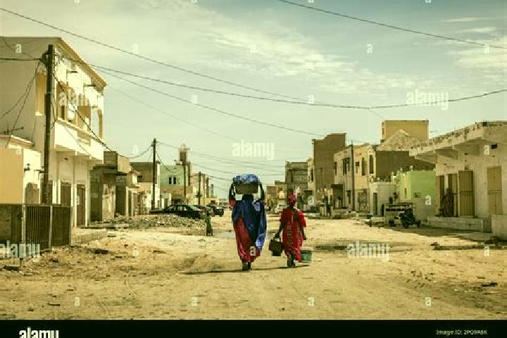 Escorts Tamchekett, Mauritania — Local Companions